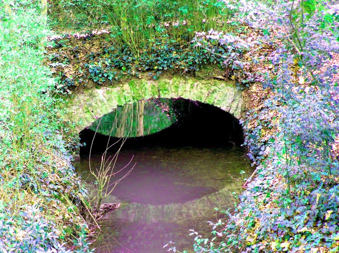 Château du Clos Luce – Parc Leonardo da Vinci 8.