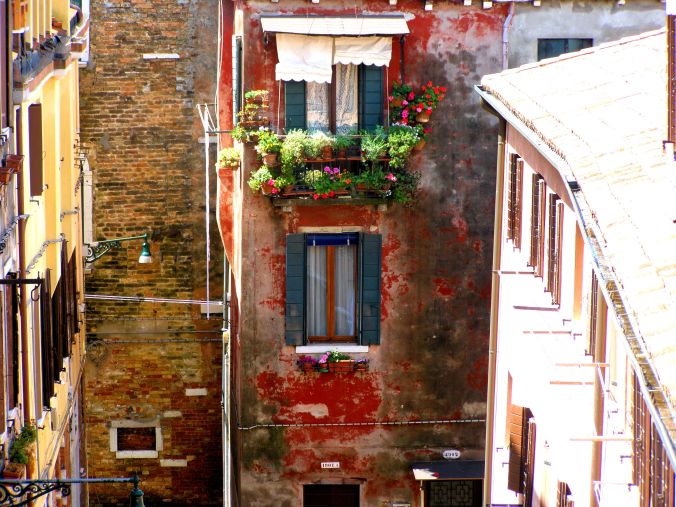 The Contrast Of Fresh And Ancient Colour. The colour and freshness of living blooms gives life to the ancient flaking paint seen from the rear window of my suite in the Hotel Tiziano, Dorsoduro 1873, Calle Riello Cannaregio, 30123 Venezia. https://witness.theguardian.com/assignment/552ffc8ee4b0a04dcffa9587/1486943