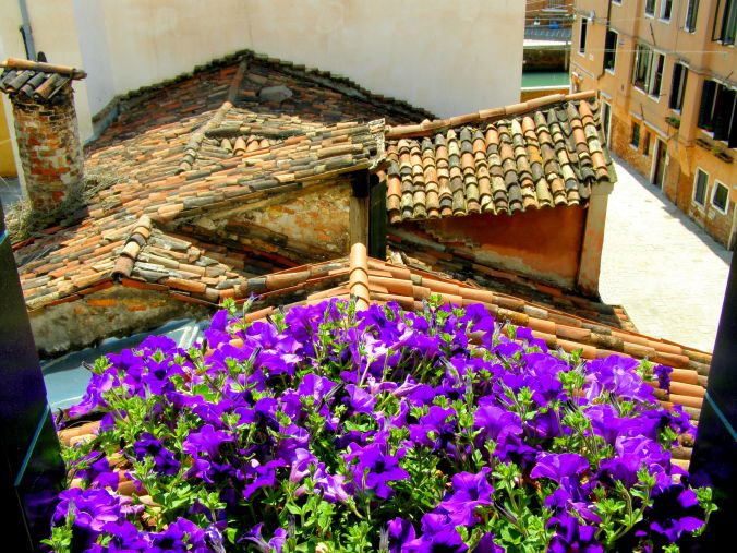 Fresh Morning View. The fresh, colourful and vibrant morning view from the side window of my suite in the Hotel Tiziano, Dorsoduro 1873, Calle Riello Cannaregio, 30123 Venezia. https://witness.theguardian.com/assignment/552ffc8ee4b0a04dcffa9587/1486940