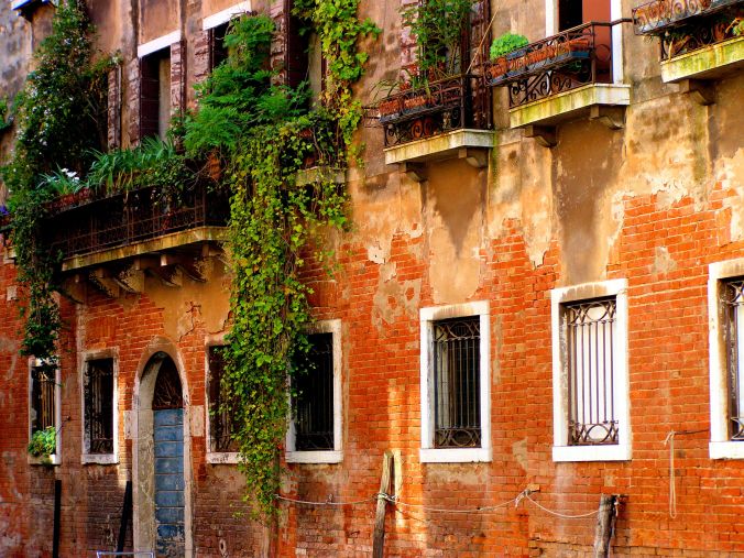 A Fresh Venetian Perspective. The unhindered growth of living plants breathes fresh life into this otherwise indistinguishable and anonymous Venetian canal where green wins the competition with blue. https://witness.theguardian.com/assignment/552ffc8ee4b0a04dcffa9587/1486946