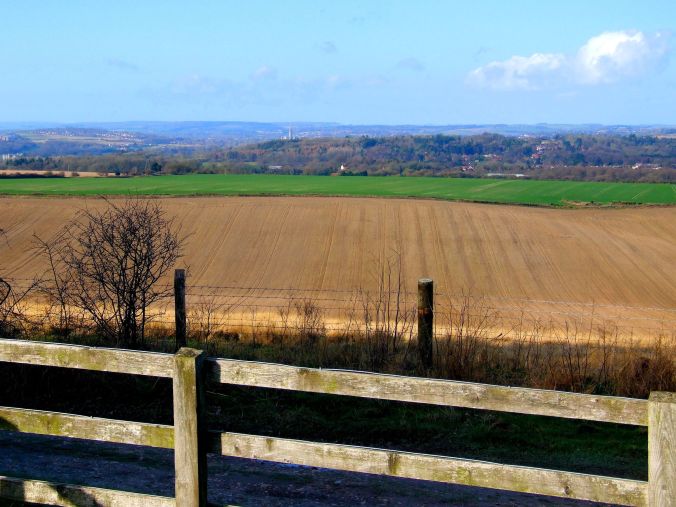 Salisbury Cathedral from Pepperbox Hill. Just the start of a long walk into wooded countryside. Pepperbox Hill is the site of the Pepperbox, an octagonal brick tower built in 1606 by a local landowner, Gyles Eyre. In the 18th and 19th centuries, highwaymen waited there to rob horse drawn coaches which had travelled up the hill. https://witness.theguardian.com/assignment/539af314e4b011e8e59e9eb3/1544033