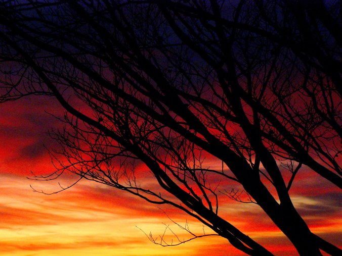 Salisbury Sky. A late afternoon blush in November turns into an early evening blood red sky in Wiltshire. https://witness.theguardian.com/assignment/5582f63de4b02e174bb631aa/1582977